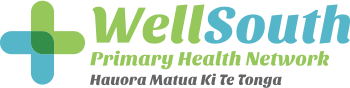 WellSouth GoAnywhere MFT Case Study WellSouth Logo